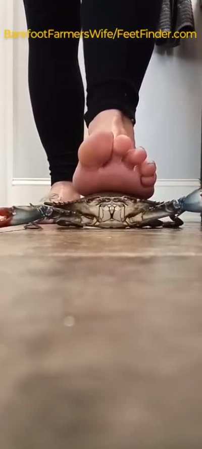 Barefoot Crab