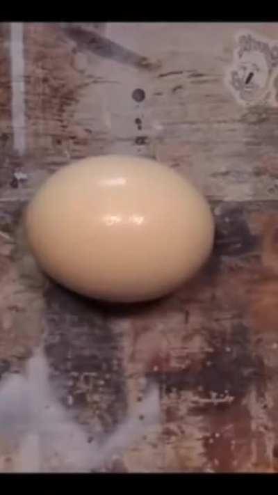 This is an Ostrich egg