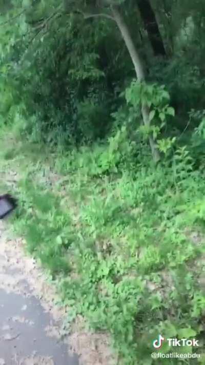 Salaam family! Thought y’all might appreciate this!