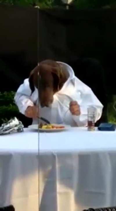 HMK while I go out for a nice dinner.