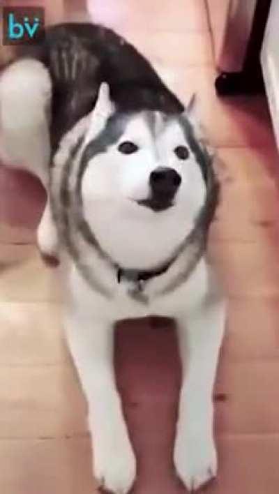 Guy can’t catch a break