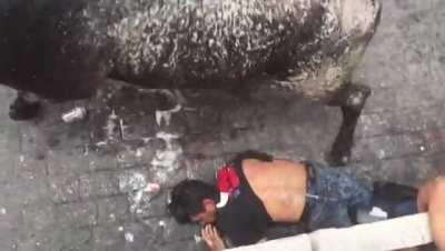 You mess with the bull...