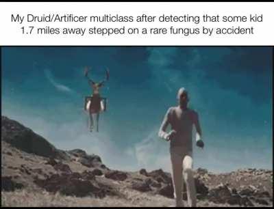 Target confirmed. Forest: Protected