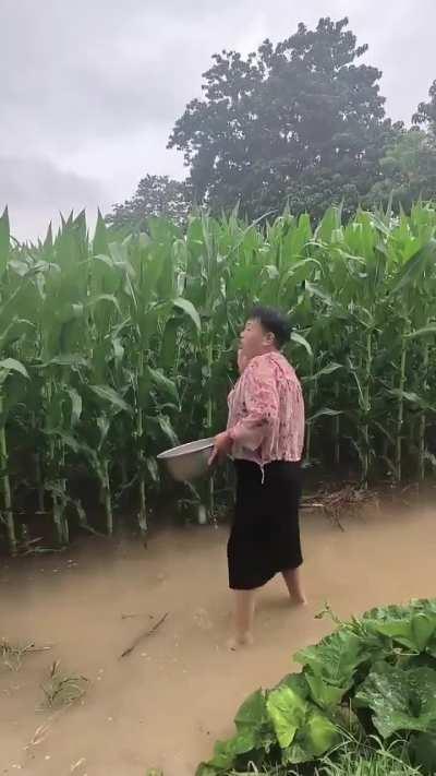 愚昧的底层，懦弱的中层，邪恶的高层