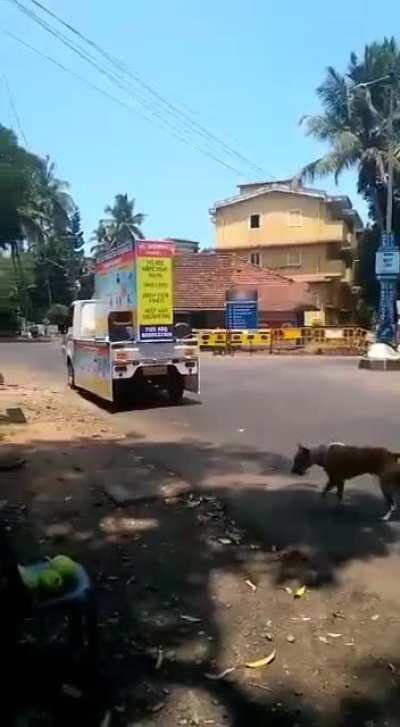 Stay the fuck at home - Goan panchayat jingle!