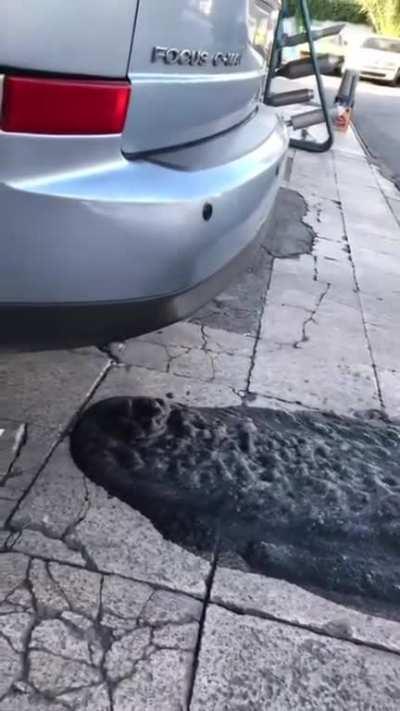 In andere Universalfernbedienung tut der Foggus kaggern