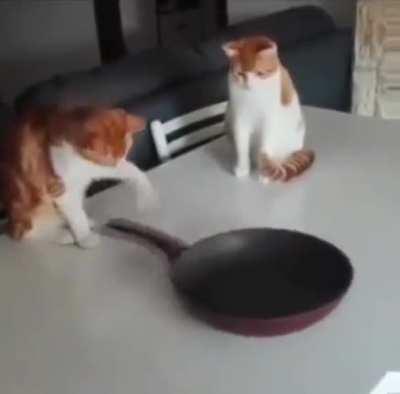 Anyone found a working ad block yet?