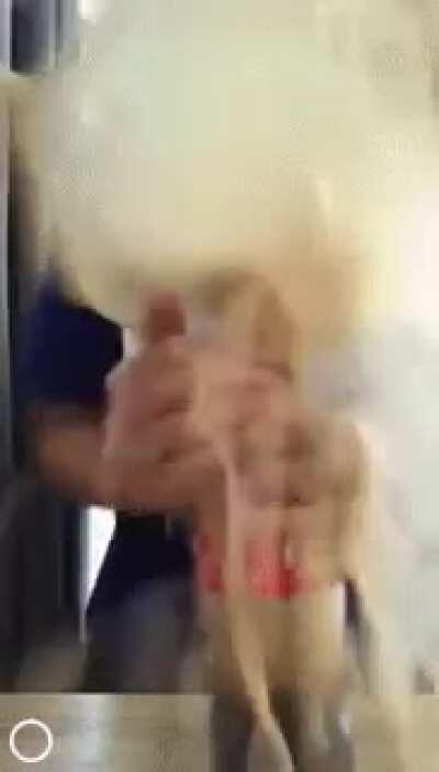 she wanted to do the volcano experiment that's all