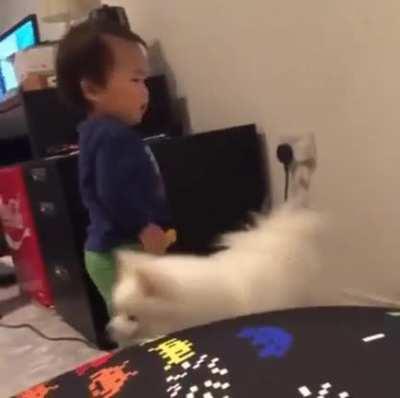 Sorry if it's a repost