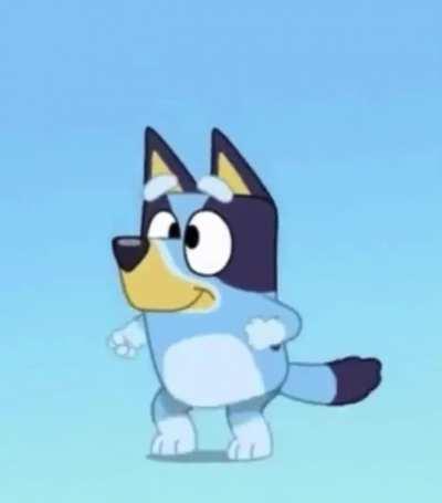 Bluey's Dance really does go with everything 