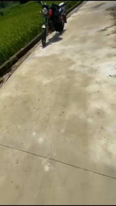 Man concerned about litter in water gets a surprise