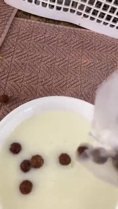 Pouring the milk first before cereal.