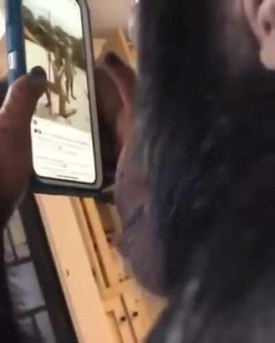 Peruano simpeando en instragram