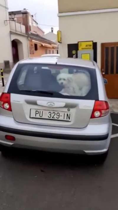 Just because you're in your car doesn't mean people can't see what you're doing...