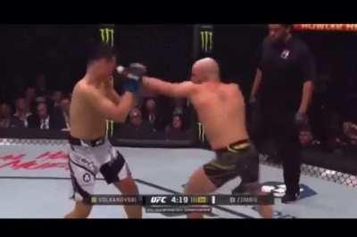 MMA summed up in 1 video 😂