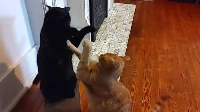 They were fighting in slow motion