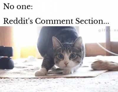 This can only be visible if you scroll too fast...