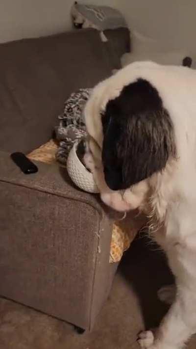 This WAS your cereal.