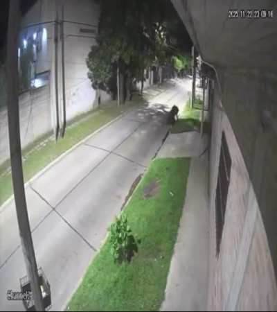 Berazategui: Le robó la bici, persiguió al ladrón y la recuperó