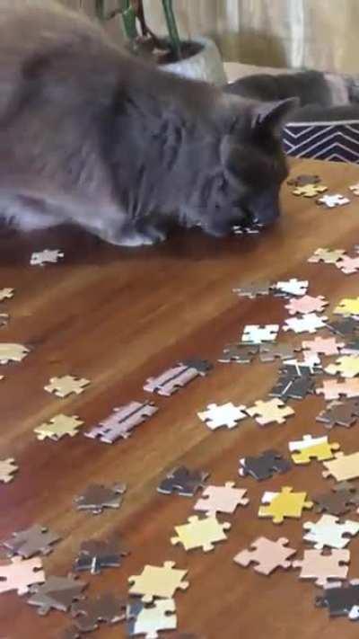 Puzzle piece thief!