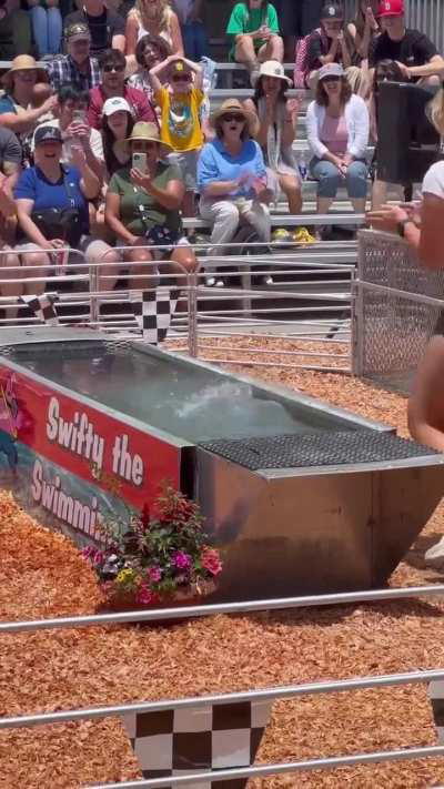 Ham in Hot Water (But Everyone Else is Toast)