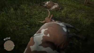 I made this to be funny and my boy Arthur starts talking to the Cow. 😂