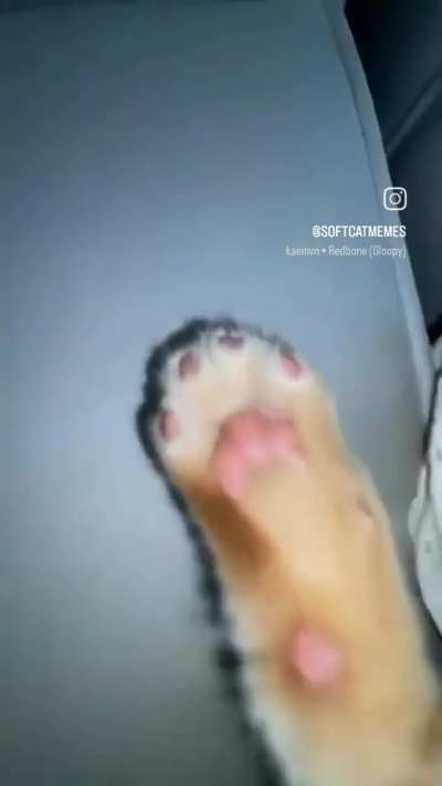 I love Big Brother, always happy to serve him!!