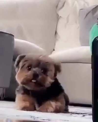 Master Of The Sneak Attack