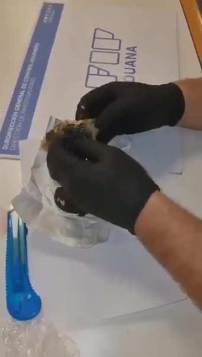 Intended, but I guess it counts