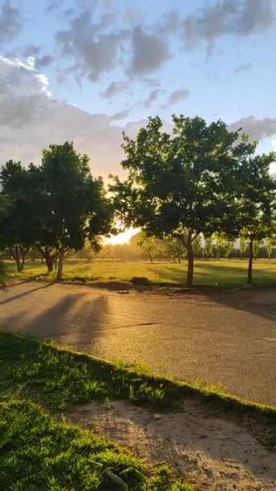 Cuando llueve con sol se dice que se casa en diablo? Una bruja? Alguien se casa? Escucharon ese delirio?