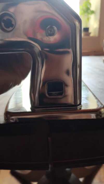 Homemade Tagliatelle!