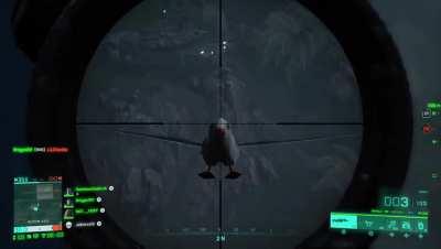 At least the Seagulls are next Gen.