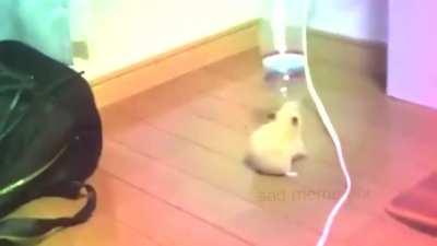 Hunting Horn mains be like~