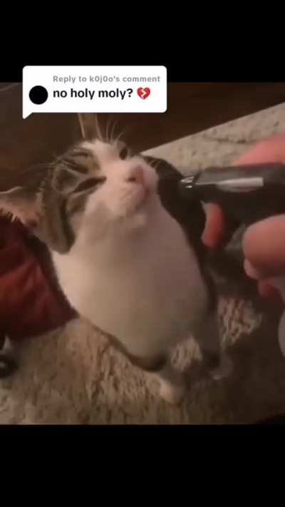 There's been a lack of holy moly so here you go