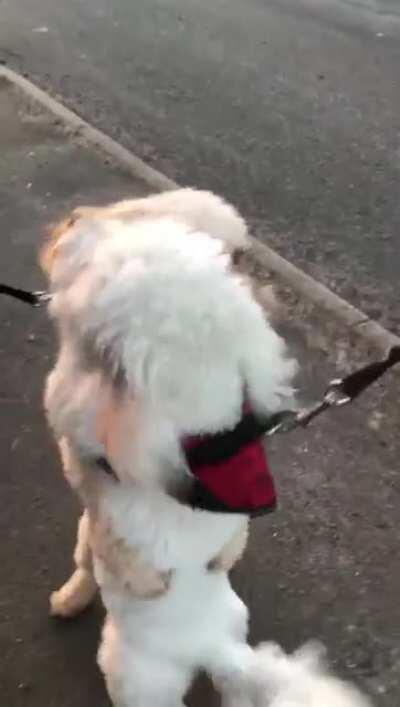 Teddy and his friend sharing a hug after not seeing each other for a while