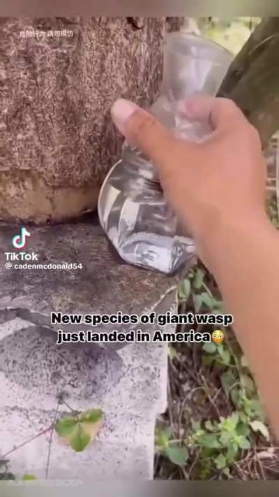 My body just took a screenshot.