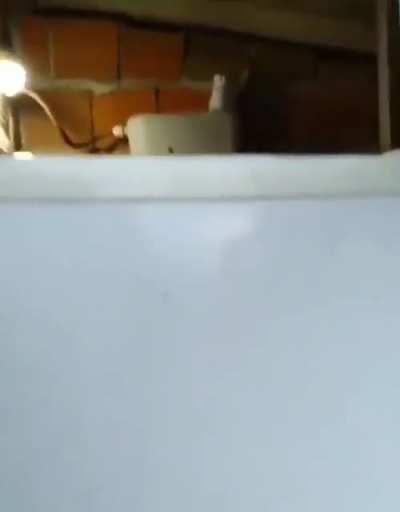 Cagando com o ambiente climatizado!