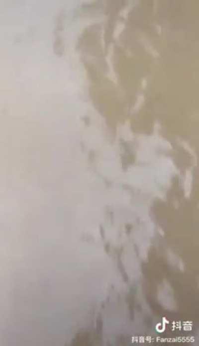 When life gives you flood... you try to get free 柠檬茶！