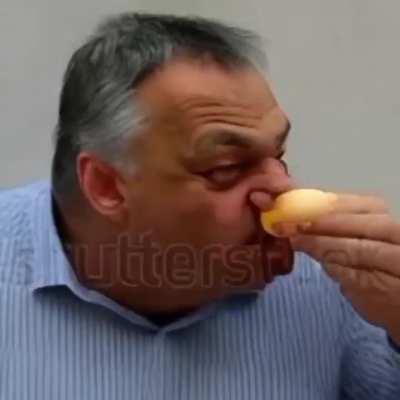 Viktor gasztronómiai kalandjai