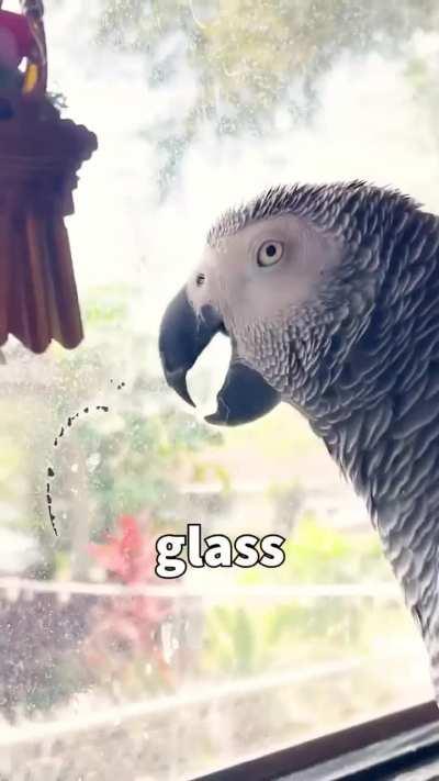 O grito do Mario ficou perfeito 