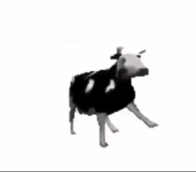 Great Days (Moo version)