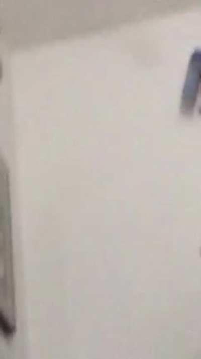 My mom and I tried taking down a huge cockroach. It is still at large.