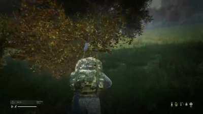 Buddy and I had a terrifying experience.