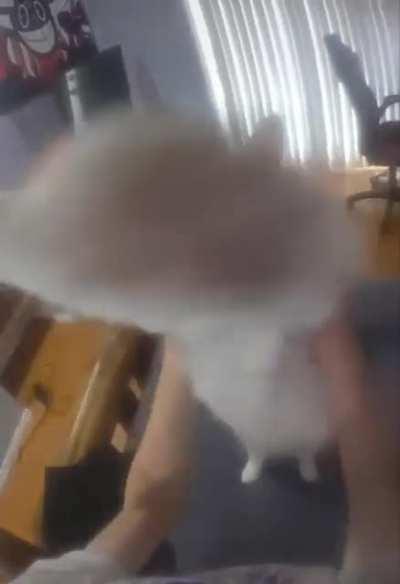 me when when cabin in the woods starts