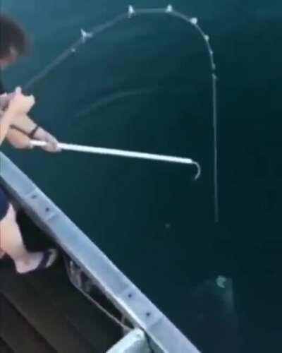 Fishsoup a la bullets