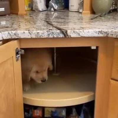 To get out of the cupboard