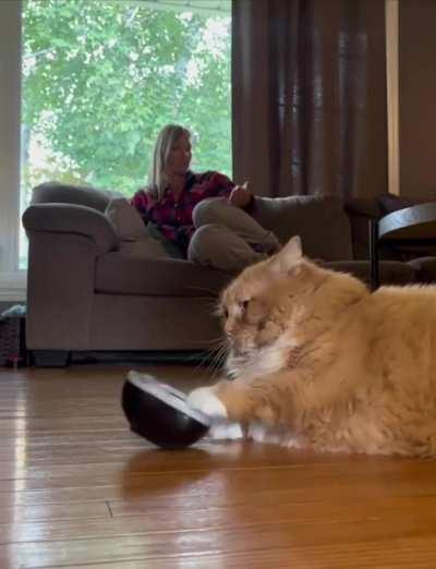 When the bowl has been empty for 5 minutes