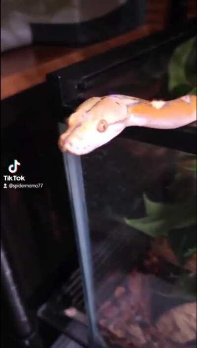 Here he is again. I'm so in love