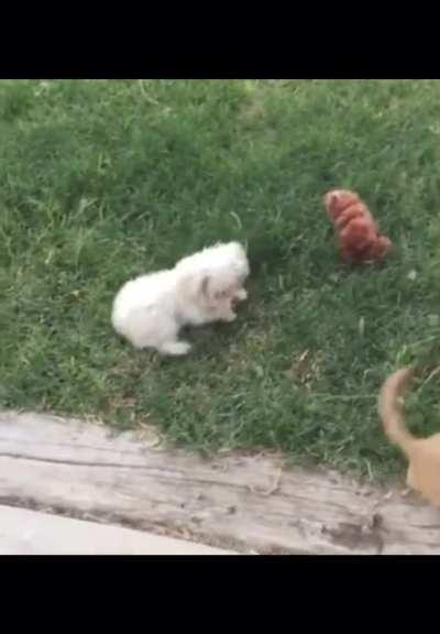 Never seen it coming!