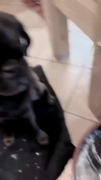 Uruk wunkers join Sauron's army 